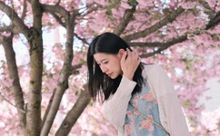 含羞草观看免费完整高清观看